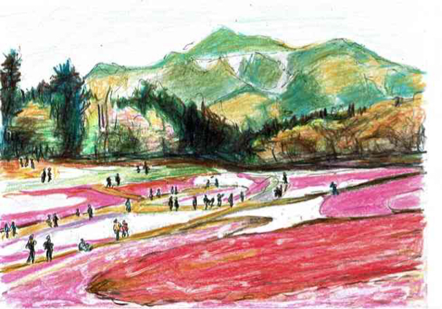 水彩画風スケッチ・埼玉秩父・羊山公園の「芝桜の丘」が見頃: 円空仏