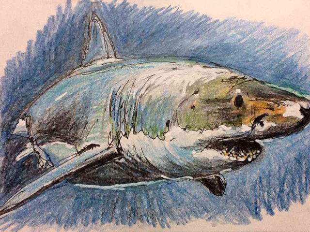 人食いザメ ジョーズのサメとフカの違いとは 国宝建築物や円空仏など彫刻の色エンピツ画スケッチ